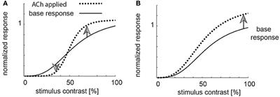 Muscarinic and Nicotinic Contribution to Contrast Sensitivity of Macaque Area V1 Neurons